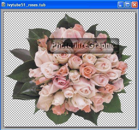 Tutoriel bouquet avec le plugin XnView/Tubes - Centerblog